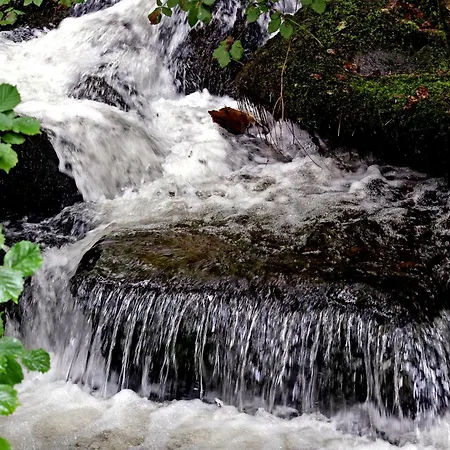 Living Timeless- Haldenmühle, Luxus Schwarzwald-retreat Mit Sauna Chalet